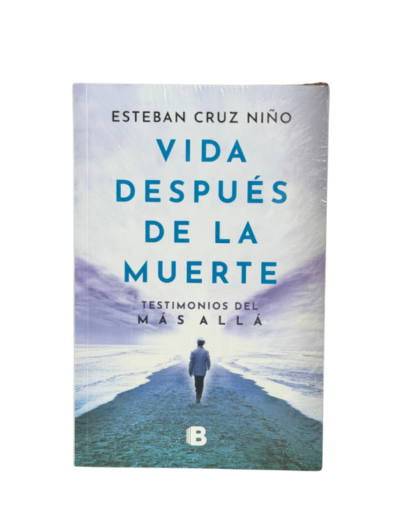 vida despues de la muerte